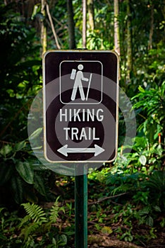 HIking Trail Sign in Lush Tropical Rainforest
