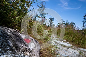 Hiking trail sign mark painted on a rock. Path leading trough the beautiful Bohemian Forest National Park. Trekking.