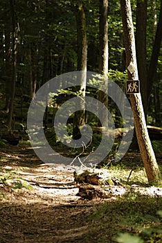 Hiking trail sign - rustic trail