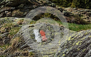 Hiking trail sign in South Tyrol