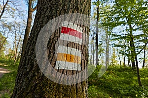 Hiking trail signs in a forest