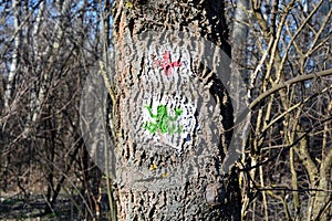 Hiking trail signs on a tree