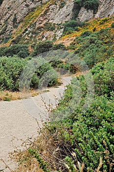 Hiking Trail in the Springtime