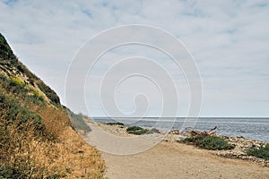 Hiking Trail in the Springtime