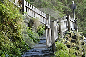 Hiking trail with stairs