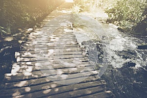 Hiking Trail with Sunlight