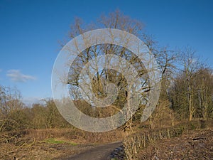 Hiking trail through a sunny winter landscape with bare trees and shrubs in the flemish countryside