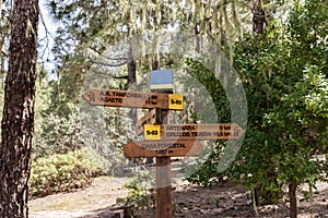 Hiking trail in Tamadaba Natural Park in Gran Canaria