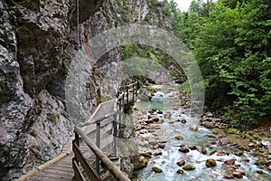 Hiking trail in Tarvisio, Italy