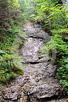 Hiking trail in tatra mountains in Slovakia