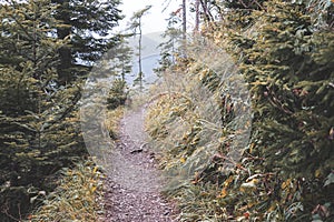 Hiking trail in tatra mountains in Slovakia - vintage retro look