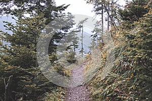 Hiking trail in tatra mountains in Slovakia - vintage retro look