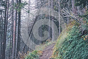 Hiking trail in tatra mountains in Slovakia - vintage retro look