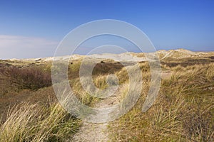 Hiking trail on Terschelling island in The Netherlands photo