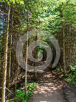 Hiking Trail at Tettegouche State Park in Minnesota 3