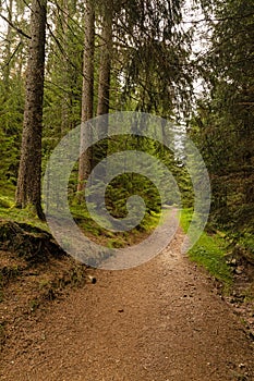 hiking trail in the thuringian forest