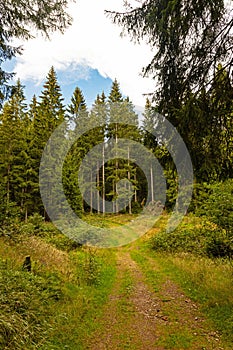 hiking trail in the thuringian forest