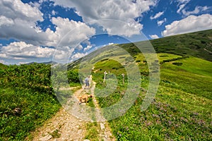 Hiking trail to Dumbier in Low Tatras mountains during summer