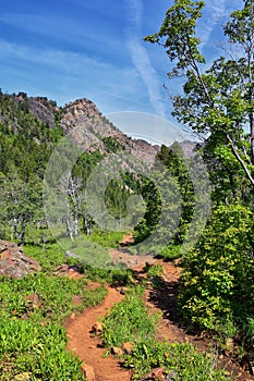 Hiking Trail to Lake Blanche forest and mountain. Wasatch Front Rocky Mountains, Twin Peaks Wilderness,  Wasatch National Forest