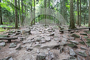 Hiking trail to Lysica in the Swietokrzyskie Mountains in Poland