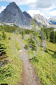 Hiking trail to mountains