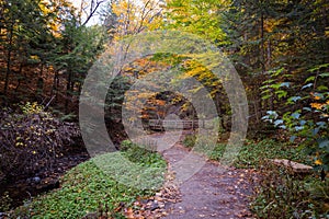 Hiking trail to Munising Falls waterfall in Pictured Rocks National Lakeshore during fall season