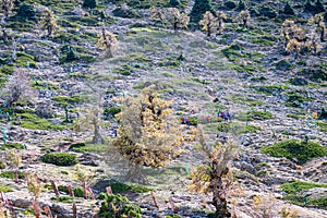 Hiking trail to peak Torrecilla, Sierra de las Nieves national park