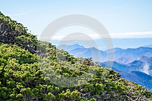 Hiking trail to peak Torrecilla, Sierra de las Nieves national park photo