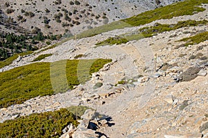 Hiking trail to peak Torrecilla, Sierra de las Nieves national park photo