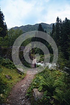 Hiking trail to Shdugra Waterfall, through green dense forest with a female traveler. Woman tourist hiker go to wooden bridge over