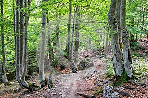 Hiking Trail to Theth, Albania
