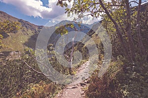 Hiking trail on top of the mountain. Tatra, Slovakia - vintage r