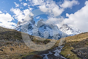 Hiking trail in Torres del Paine National Park in Chile