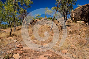 Hiking trail in the Undara Volcanic National Park, Australia photo