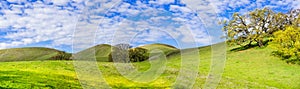 Hiking trail through the verdant hills of south San Francisco bay area, San Jose, California