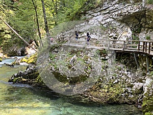 Hiking trail through Vintgar Gorge or Bled Gorge - Bled, Slovenia Triglav National Park - Wanderweg durch die Vintgar-Schlucht