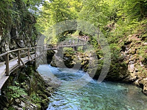 Hiking trail through Vintgar Gorge or Bled Gorge - Bled, Slovenia Triglav National Park - Wanderweg durch die Vintgar-Schlucht