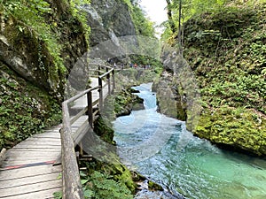 Hiking trail through Vintgar Gorge or Bled Gorge - Bled, Slovenia Triglav National Park - Wanderweg durch die Vintgar-Schlucht