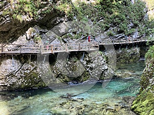 Hiking trail through Vintgar Gorge or Bled Gorge - Bled, Slovenia Triglav National Park - Wanderweg durch die Vintgar-Schlucht