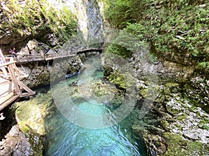 Hiking trail through Vintgar Gorge or Bled Gorge - Bled, Slovenia Triglav National Park - Wanderweg durch die Vintgar-Schlucht