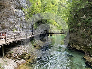 Hiking trail through Vintgar Gorge or Bled Gorge - Bled, Slovenia Triglav National Park - Wanderweg durch die Vintgar-Schlucht