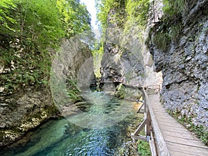 Hiking trail through Vintgar Gorge or Bled Gorge - Bled, Slovenia Triglav National Park - Wanderweg durch die Vintgar-Schlucht