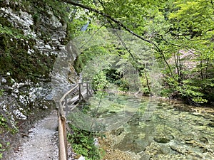 Hiking trail through Vintgar Gorge or Bled Gorge - Bled, Slovenia Triglav National Park - Wanderweg durch die Vintgar-Schlucht