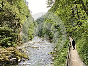 Hiking trail through Vintgar Gorge or Bled Gorge - Bled, Slovenia Triglav National Park - Wanderweg durch die Vintgar-Schlucht