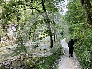 Hiking trail through Vintgar Gorge or Bled Gorge - Bled, Slovenia Triglav National Park - Wanderweg durch die Vintgar-Schlucht