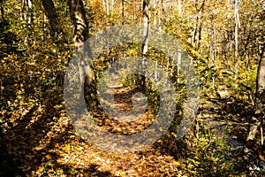 Hiking Trail by a Wild Mountain Trout Stream