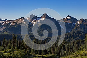 hiking trail through wildflower meadows including an impressive view of Mount Rainier on a clear blue sky summer day