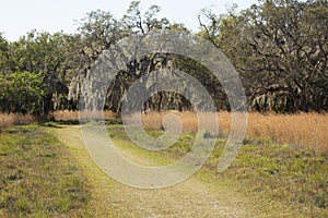 Hiking trail winding through Florida scrub at Lake Kissimmee Par