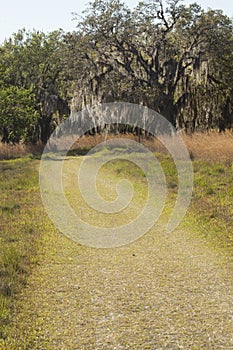 Hiking trail winding through Florida scrub at Lake Kissimmee Par