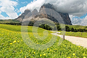 A hiking trail winding thru green grassy fields & wild flowers blooming on the meadows